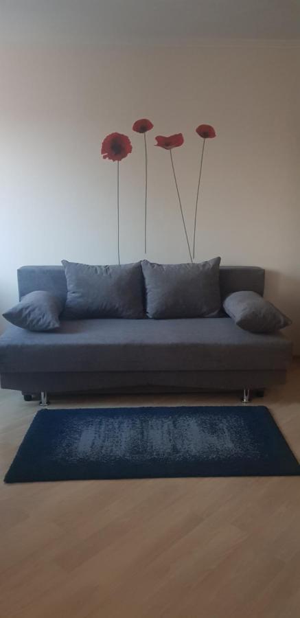 Boglarka Apartman Гайдусобосло Номер фото